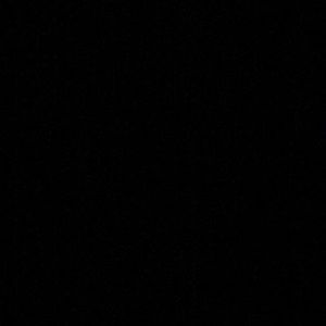 Meet your Posher, Abigail